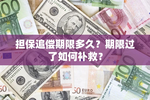 北京担保追偿期限多久？期限过了如何补救？