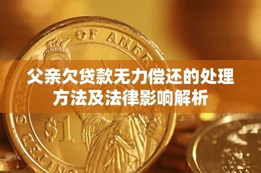 北京父亲欠贷款无力偿还的处理方法及法律影响解析